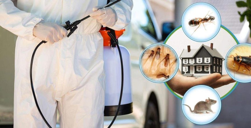 Seydikemer Böcek İlaçlama