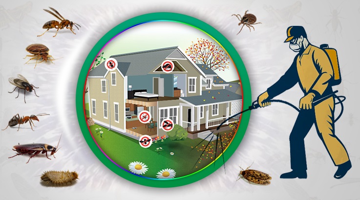 Seydikemer Böcek İlaçlama