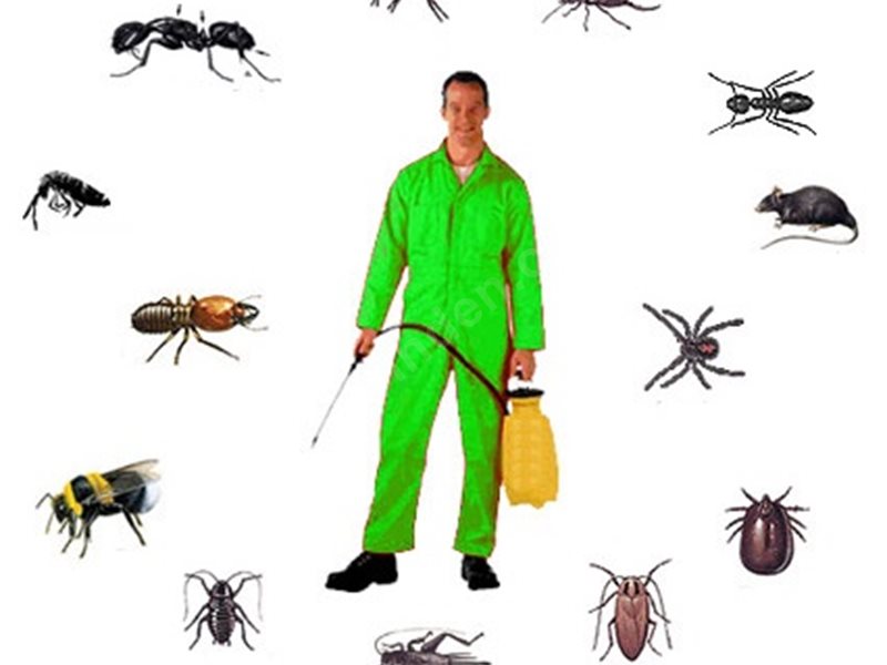 Seydikemer Böcek İlaçlama